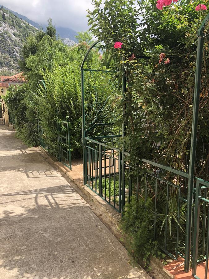 Apartments Qualitas Kotor Eksteriør billede
