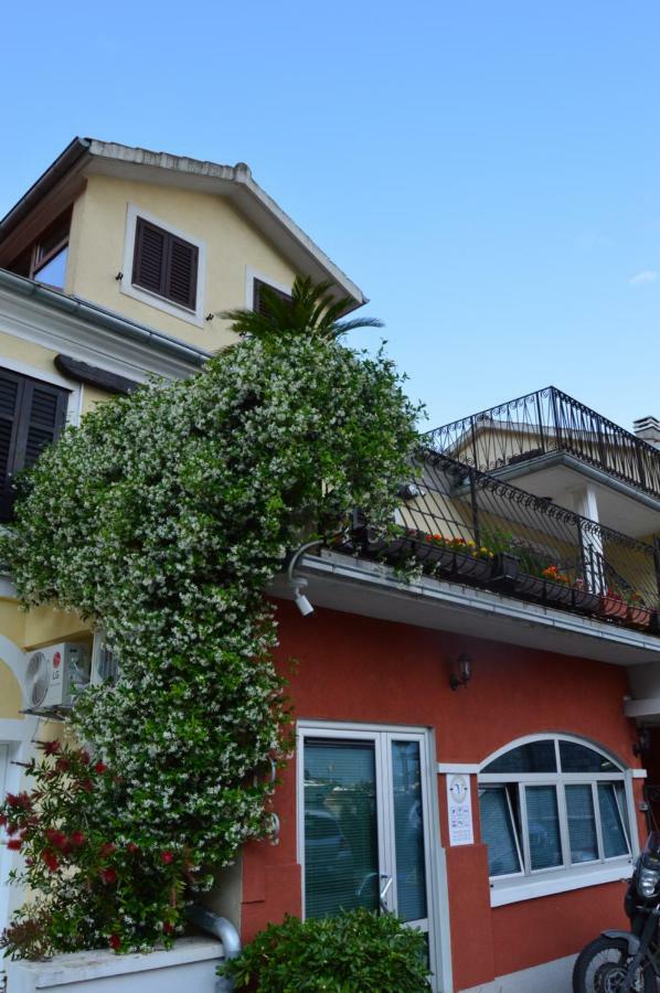 Apartments Qualitas Kotor Eksteriør billede